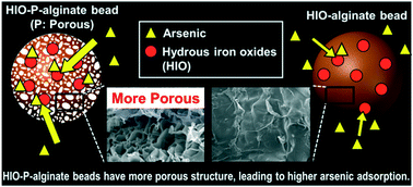 Graphical abstract: Immobilization of hydrous iron oxides in porous alginate beads for arsenic removal from water