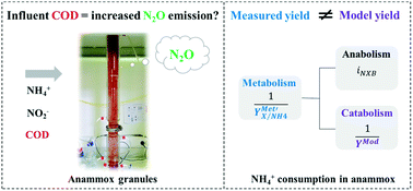 Graphical abstract: Effect of organic matter on the performance and N2O emission of a granular sludge anammox reactor