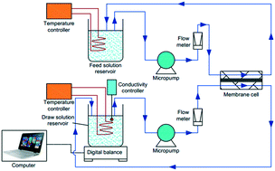 Graphical abstract: Performance of a seawater-driven forward osmosis process for pre-concentrating digested sludge centrate: organic enrichment and membrane fouling