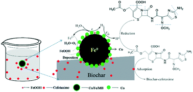 Graphical abstract: Degradation mechanisms of cefotaxime using biochar supported Co/Fe bimetallic nanoparticles