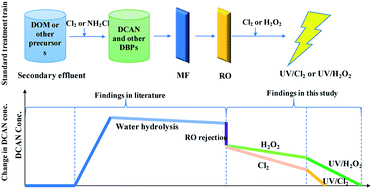 Graphical abstract: The fate of dichloroacetonitrile in UV/Cl2 and UV/H2O2 processes: implications on potable water reuse