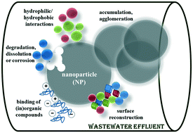 Graphical abstract: Behavior of silver nanoparticles in wastewater: systematic investigation on the combined effects of surfactants and electrolytes in model systems