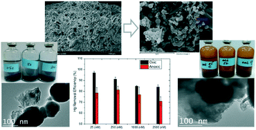 Graphical abstract: Dissolved oxygen and nitrate effects on the reduction and removal of divalent mercury by pumice supported nanoscale zero-valent iron