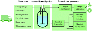 Graphical abstract: Current status and perspectives on anaerobic co-digestion and associated downstream processes