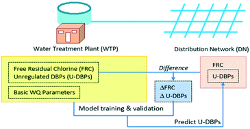 Graphical abstract: Framework for cost-effective prediction of unregulated disinfection by-products in drinking water distribution using differential free chlorine