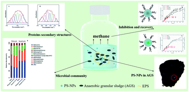 Graphical abstract: Emerging investigator series: inhibition and recovery of anaerobic granular sludge performance in response to short-term polystyrene nanoparticle exposure