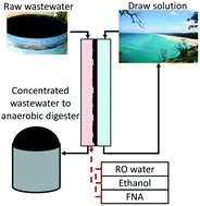 Graphical abstract: Evaluating the membrane fouling formation and chemical cleaning strategy in forward osmosis membrane filtration treating domestic sewage