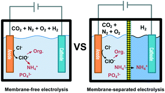 Graphical abstract: Membrane-separated electrochemical latrine wastewater treatment