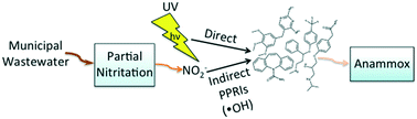Graphical abstract: Photodegradation of pharmaceutical compounds in partially nitritated wastewater during UV irradiation