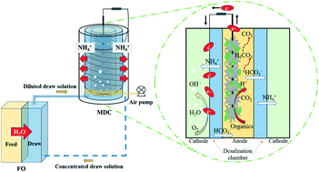 Graphical abstract: Ammonia removal and recovery from diluted forward osmosis draw solution by using a tubular microbial desalination cell