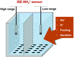 Graphical abstract: ISE-ammonium sensors in WRRFs: field assessment of their influencing factors