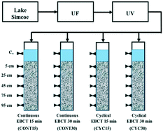 Graphical abstract: Removal of 3-chloro-4(dichloromethyl)-2(5H)-furanone (MX) precursors during drinking water biofiltration