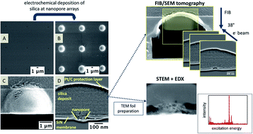 Graphical abstract: Investigation of modified nanopore arrays using FIB/SEM tomography