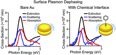 Graphical abstract: Impact of chemical interface damping on surface plasmon dephasing