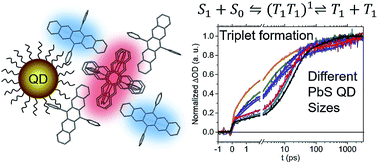 Graphical abstract: Systematic control of the rate of singlet fission within 6,13-diphenylpentacene aggregates with PbS quantum dot templates