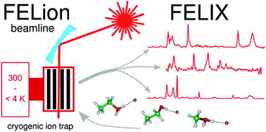 Graphical abstract: The FELion cryogenic ion trap beam line at the FELIX free-electron laser laboratory: infrared signatures of primary alcohol cations