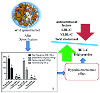 Graphical abstract: Antinutritional factors and hypocholesterolemic effect of wild apricot kernel (Prunus armeniaca L.) as affected by detoxification