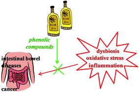 Graphical abstract: Modulation of intestinal epithelium homeostasis by extra virgin olive oil phenolic compounds
