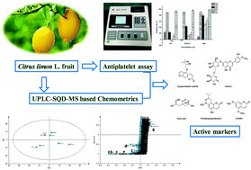 Graphical abstract: Characterization of active antiplatelet chemical compositions of edible Citrus limon through ultra-performance liquid chromatography single quadrupole mass spectrometry-based chemometrics