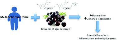 Graphical abstract: Açaí (Euterpe oleracea Mart.) beverage consumption improves biomarkers for inflammation but not glucose- or lipid-metabolism in individuals with metabolic syndrome in a randomized, double-blinded, placebo-controlled clinical trial