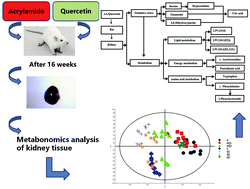 Graphical abstract: Metabonomics analysis of quercetin against the nephrotoxicity of acrylamide in rats