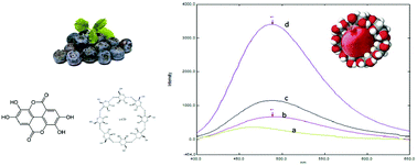 Graphical abstract: Ellagic acid–borax fluorescence interaction: application for novel cyclodextrin-borax nanosensors for analyzing ellagic acid in food samples