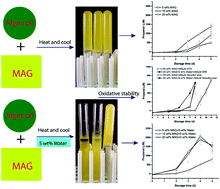 Graphical abstract: A combination of monoacylglycerol crystalline network and hydrophilic antioxidants synergistically enhances the oxidative stability of gelled algae oil