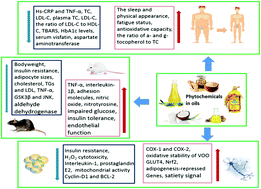 Graphical abstract: The relationship between lipid phytochemicals, obesity and its related chronic diseases