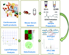 Graphical abstract: Lipid profiling in serum from apolipoprotein E-knock out mice fed with different diets and its application to the study of the regulatory effect on lipid metabolism