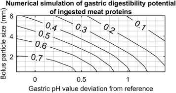 Graphical abstract: Simulation of the gastric digestion of proteins of meat bolus using a reaction–diffusion model