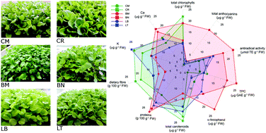 Graphical abstract: Nutritional characterization and shelf-life of packaged microgreens
