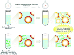 Graphical abstract: Physicochemical and oxidative stability of a soybean oleosome-based emulsion and its in vitro digestive fate as affected by (−)-epigallocatechin-3-gallate