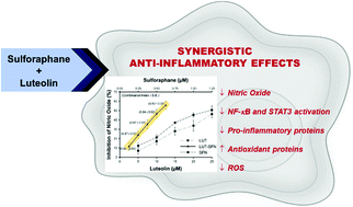 Graphical abstract: Synergism between luteolin and sulforaphane in anti-inflammation
