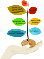 Graphical abstract: Emerging opportunities in exploring the nutritional/functional value of amaranth