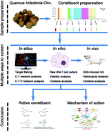 Graphical abstract: Screening for active constituents in Turkish galls against ulcerative colitis by mass spectrometry guided preparative chromatography strategy: in silico, in vitro and in vivo study