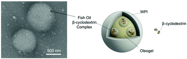 Graphical abstract: Oleogel-structured composite for the stabilization of ω3 fatty acids in fish oil