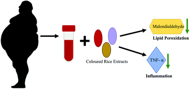 Graphical abstract: Coloured rice-derived polyphenols reduce lipid peroxidation and pro-inflammatory cytokines ex vivo
