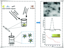 Graphical abstract: One-step assembly of zein/caseinate/alginate nanoparticles for encapsulation and improved bioaccessibility of propolis