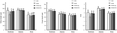 Graphical abstract: Dietary N-carbamylglutamate and l-arginine supplementation improves intestinal energy status in intrauterine-growth-retarded suckling lambs