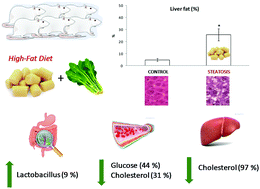 Graphical abstract: Spinach consumption ameliorates the gut microbiota and dislipaemia in rats with diet-induced non-alcoholic fatty liver disease (NAFLD)