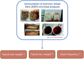 Graphical abstract: Extrinsic wheat fibre consumption enhances faecal bulk and stool frequency; a randomized controlled trial
