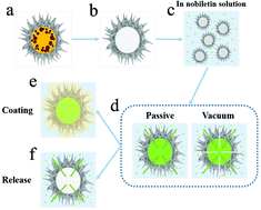 Graphical abstract: Leveraging plant exine capsules as pH-responsive delivery vehicles for hydrophobic nutraceutical encapsulation