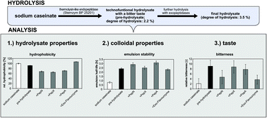 Graphical abstract: Improving the colloidal and sensory properties of a caseinate hydrolysate using particular exopeptidases