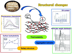 Graphical abstract: The thermal stability, structural changeability, and aggregability of glutenin and gliadin proteins induced by wheat bran dietary fiber