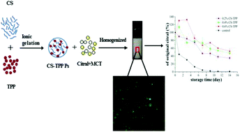 Graphical abstract: Fabrication and characterization of citral-loaded oil-in-water Pickering emulsions stabilized by chitosan-tripolyphosphate particles