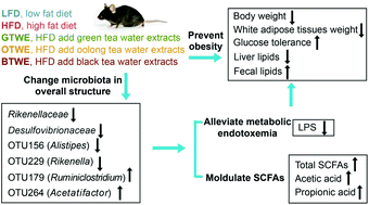 Graphical abstract: Beneficial effects of tea water extracts on the body weight and gut microbiota in C57BL/6J mice fed with a high-fat diet