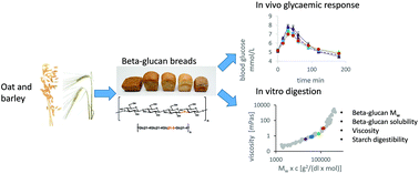 Graphical abstract: At a high dose even partially degraded beta-glucan with decreased solubility significantly reduced the glycaemic response to bread