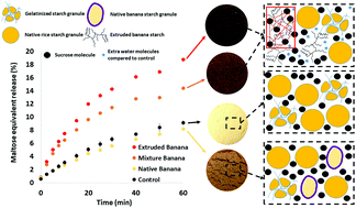 Graphical abstract: Nutritional and physical characterization of sugar-snap cookies: effect of banana starch in native and molten states