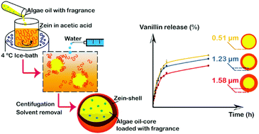 Graphical abstract: Zein-based core–shell microcapsules for the potential delivery of algae oil and lipophilic compounds