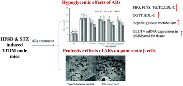Graphical abstract: Hypoglycemic effects of wheat bran alkyresorcinols in high-fat/high-sucrose diet and low-dose streptozotocin-induced type 2 diabetic male mice and protection of pancreatic β cells
